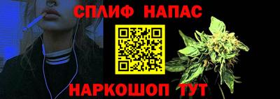 сатива Кумертау