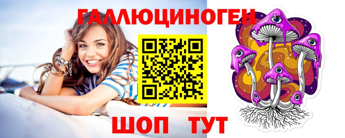 Галлюциногенные грибы GOLDEN TEACHER Кольчугино